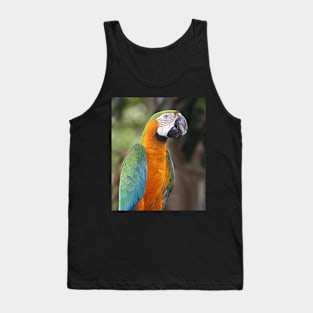 Harlequin Macaw Tank Top